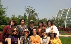 老狼忘忧草二区大豆